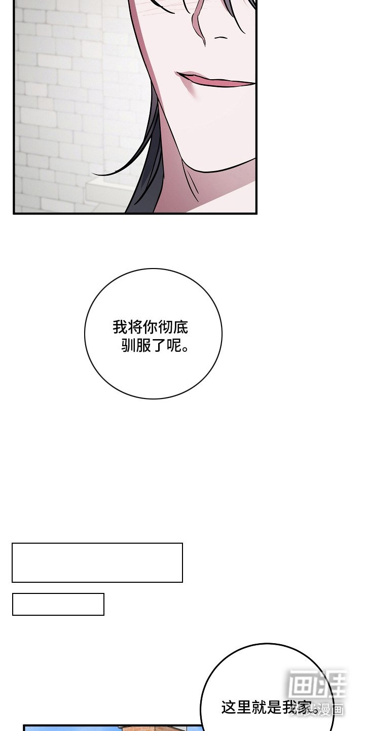 第14章：来到家里