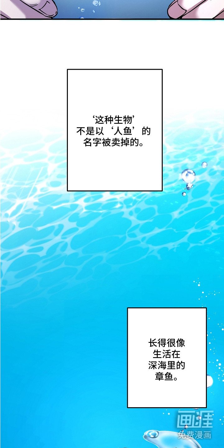 第17章：原本的主人