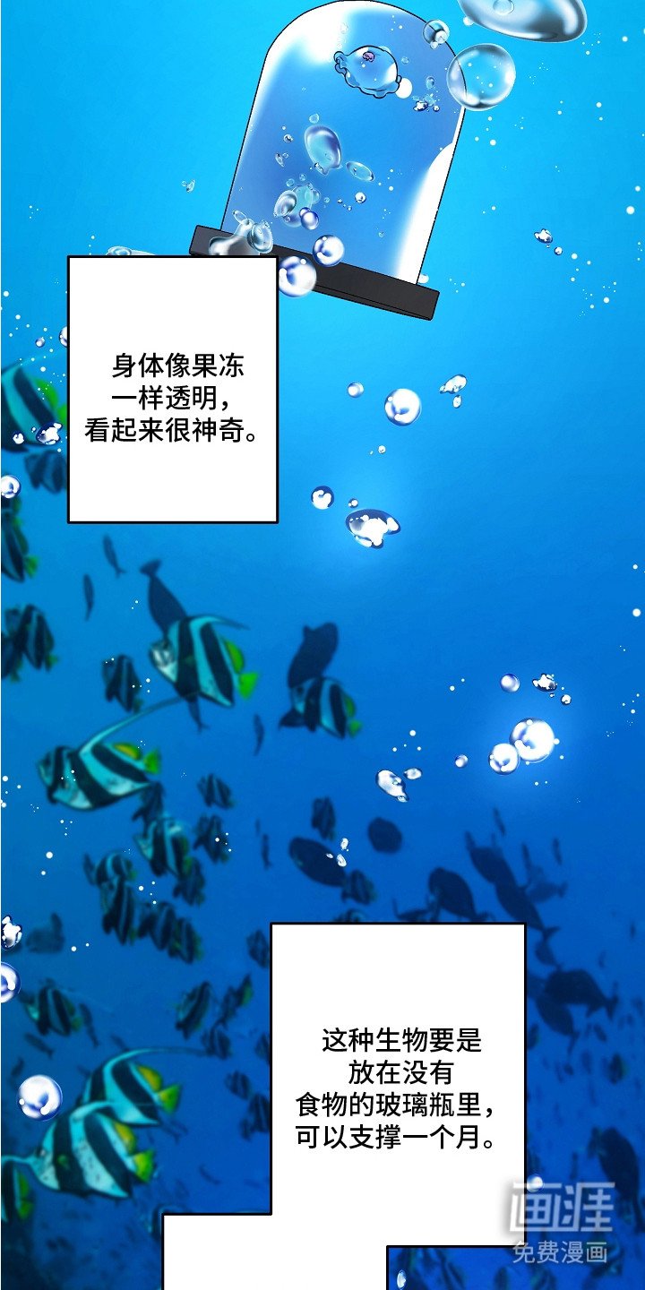 第17章：原本的主人