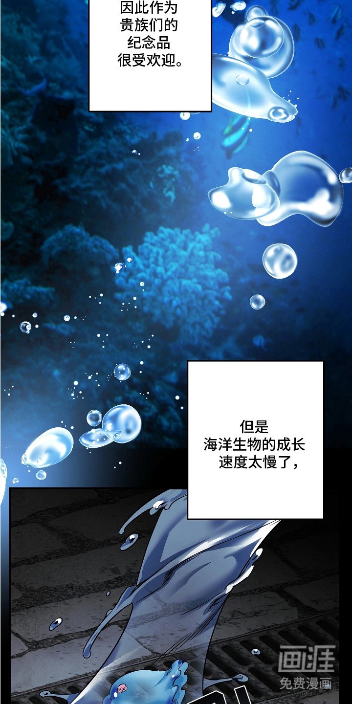 第17章：原本的主人
