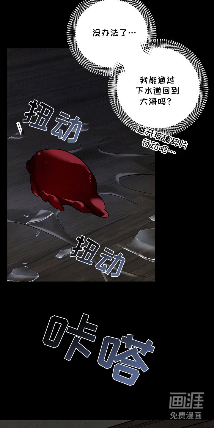第19章：人鱼的起源