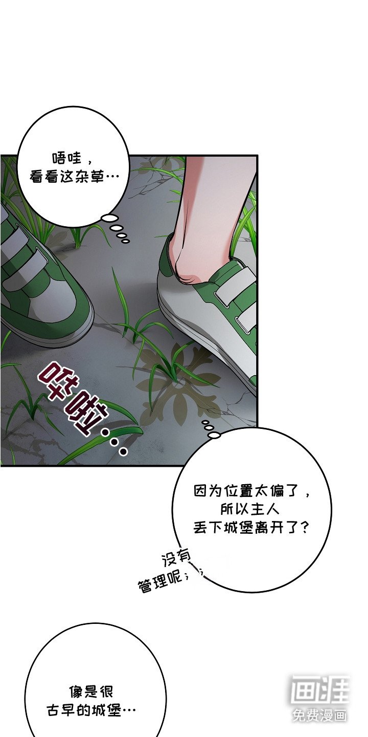 第2章：贵族