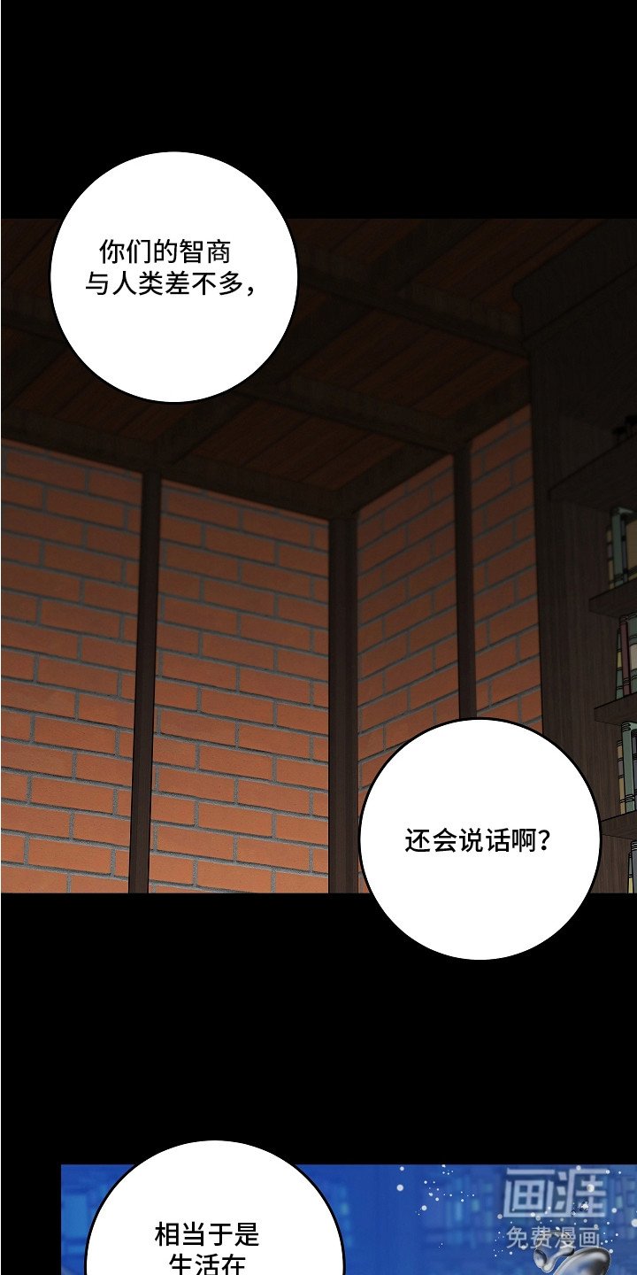 第20章：抉择