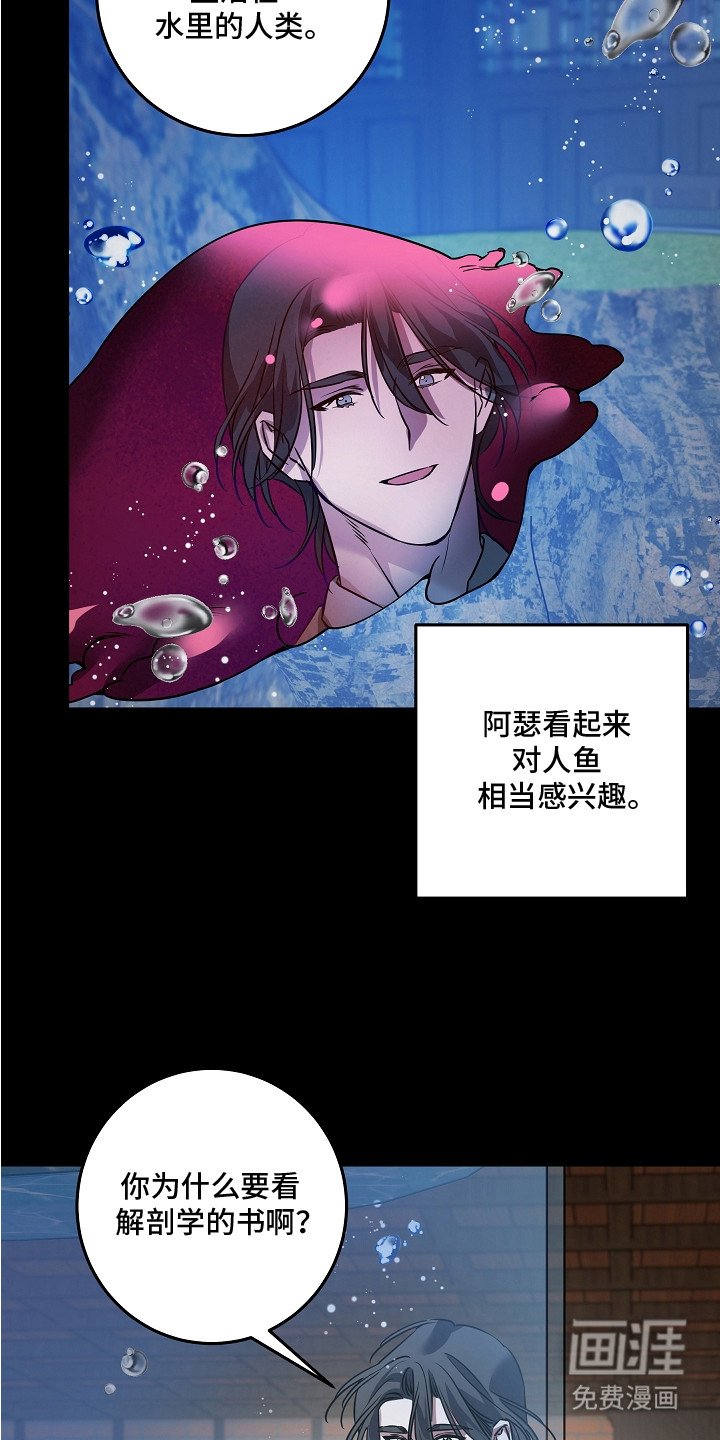 第20章：抉择