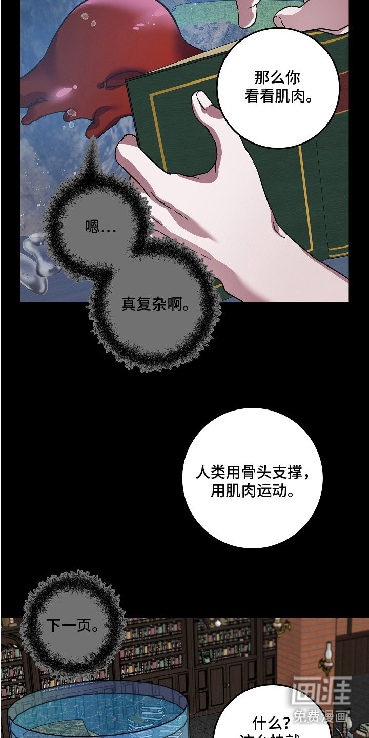 第20章：抉择