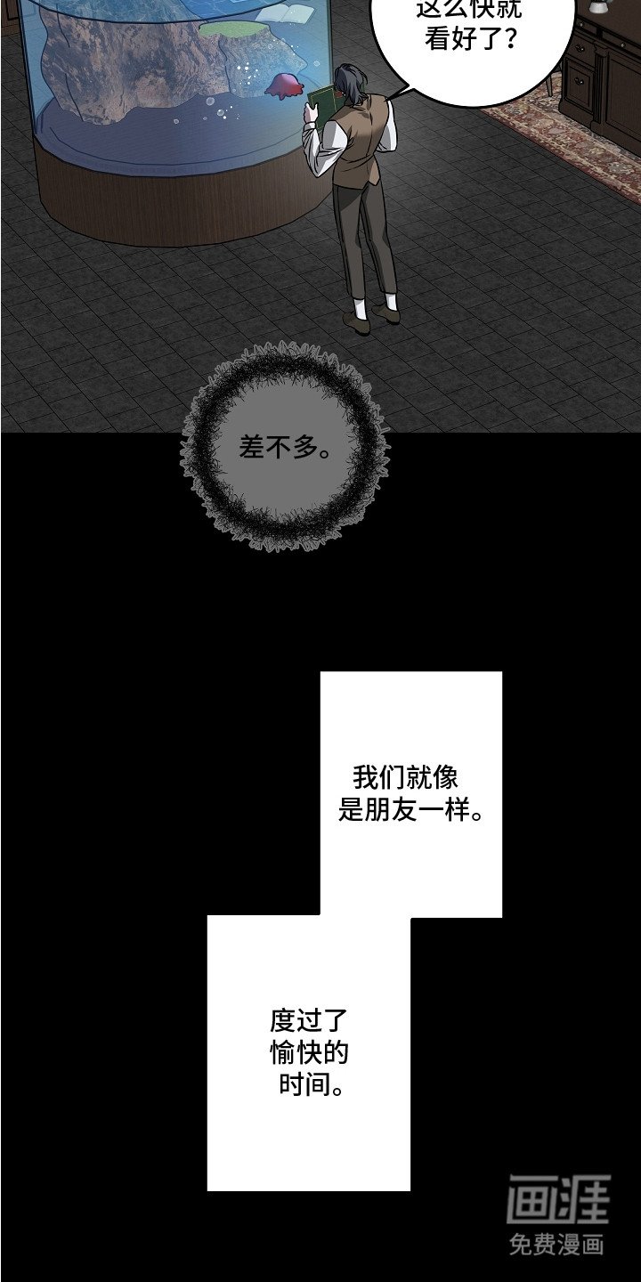第20章：抉择