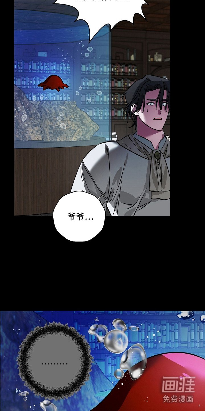 第20章：抉择