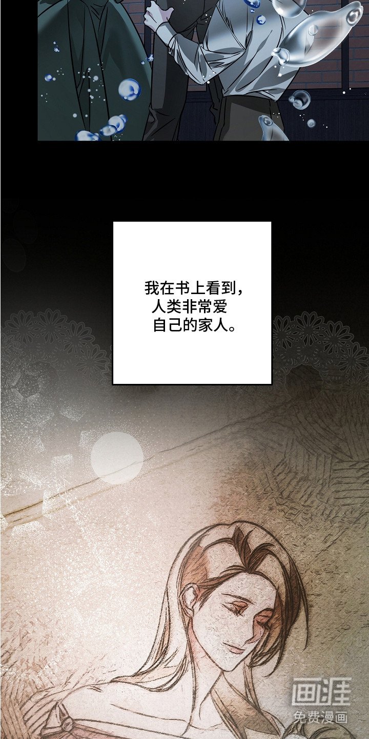 第20章：抉择