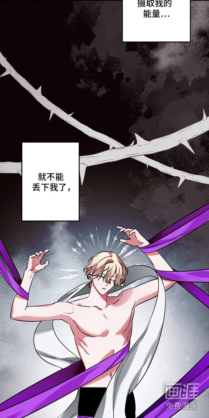 第24章：扭曲的自由