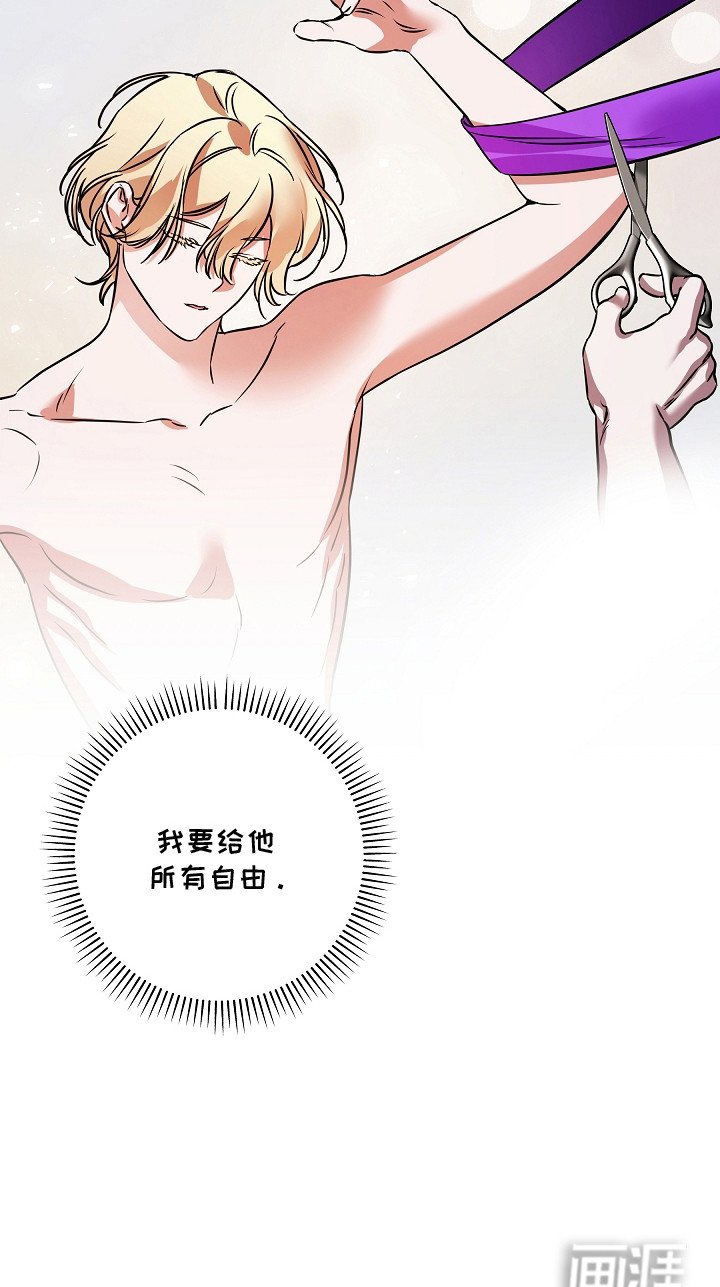 第24章：扭曲的自由