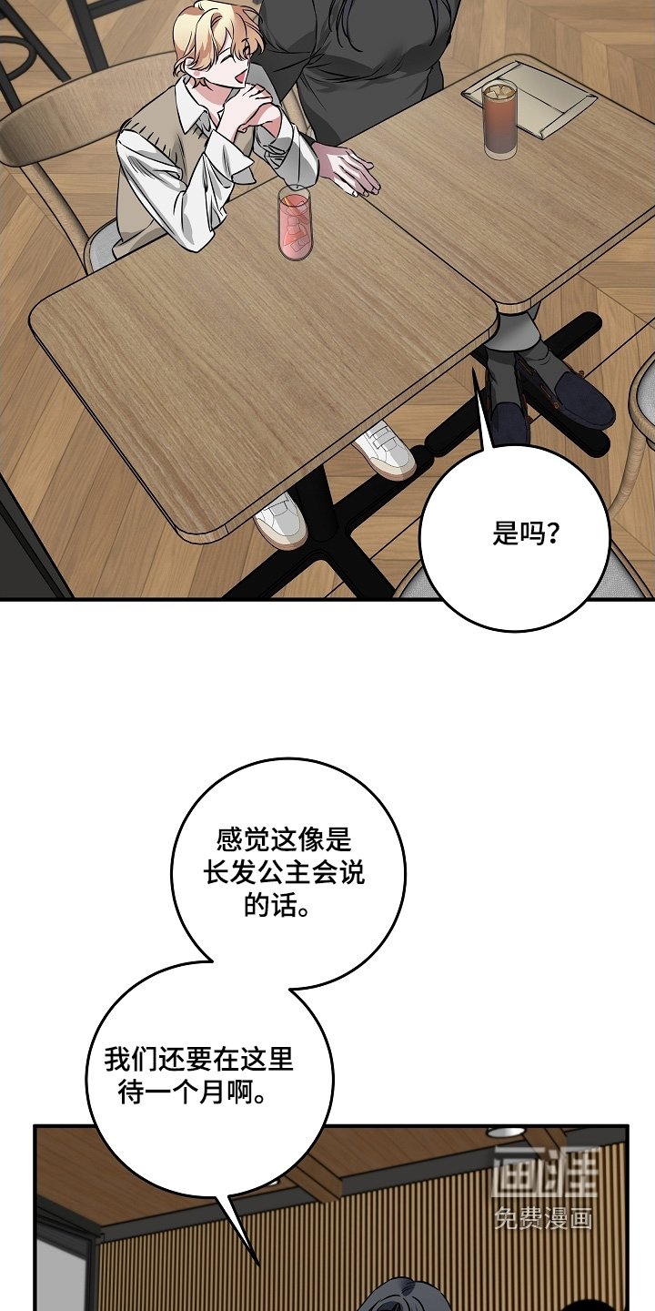 第28章：报告