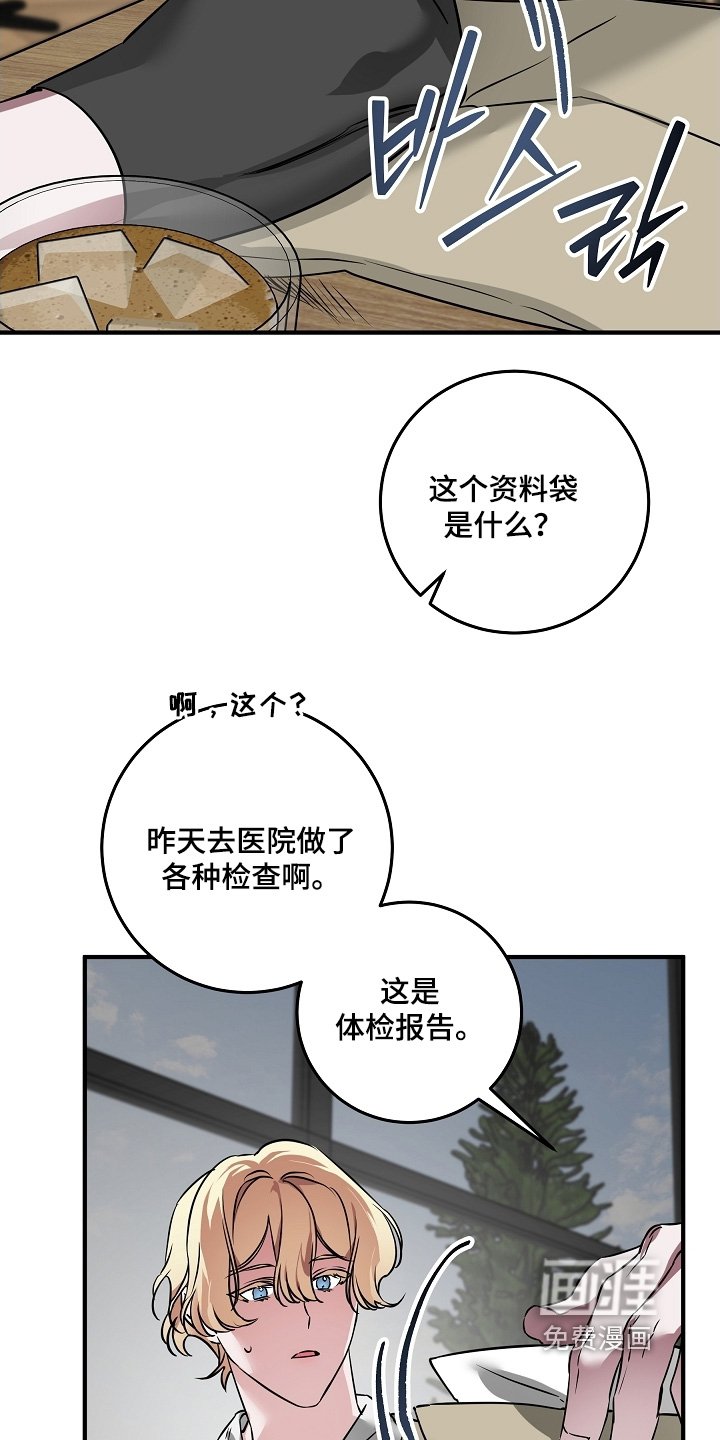 第28章：报告