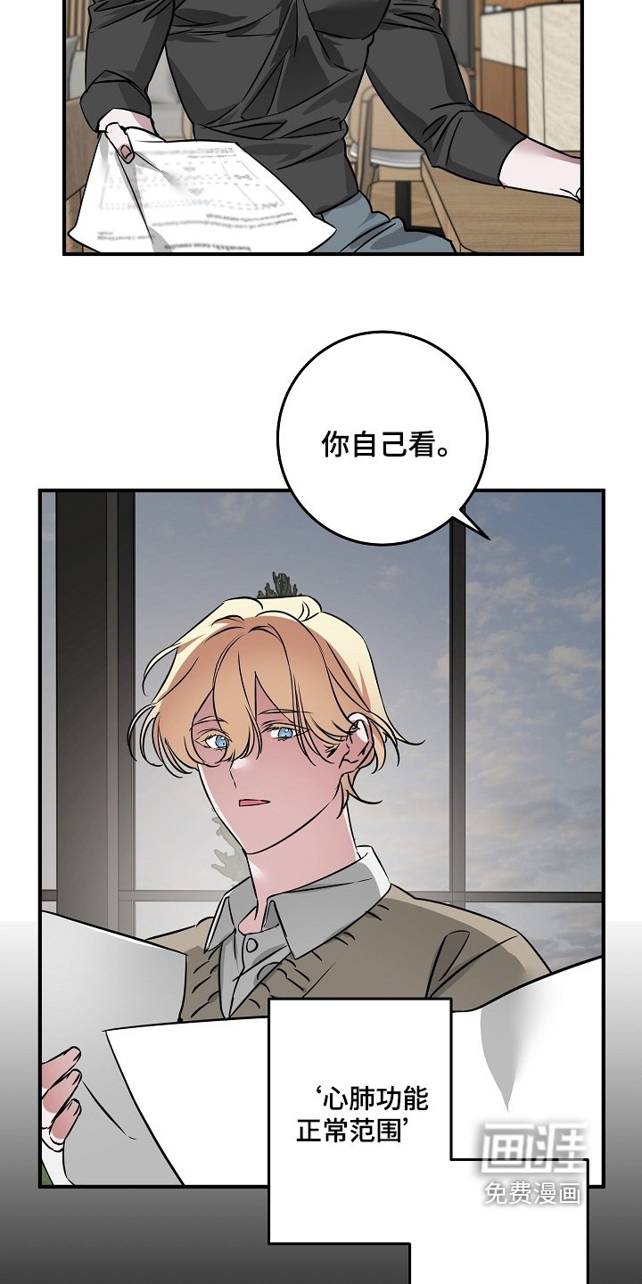 第28章：报告