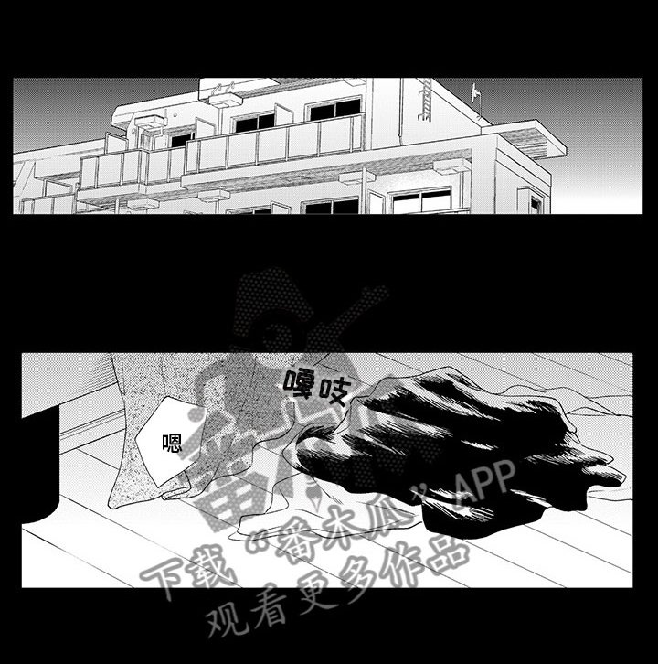 第8章：真实的想法