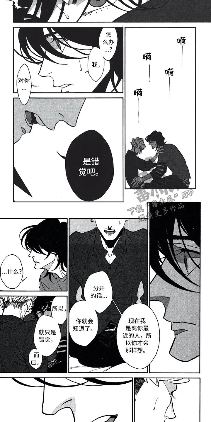 第17章：错觉