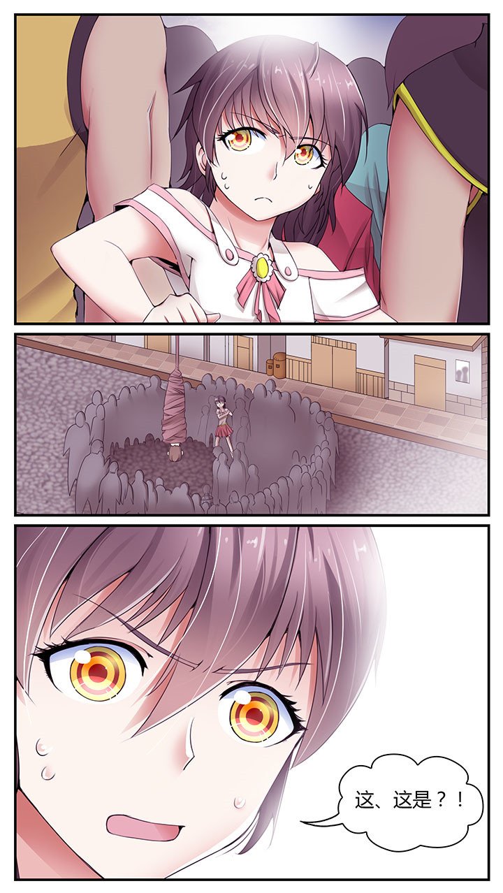 第5章：
