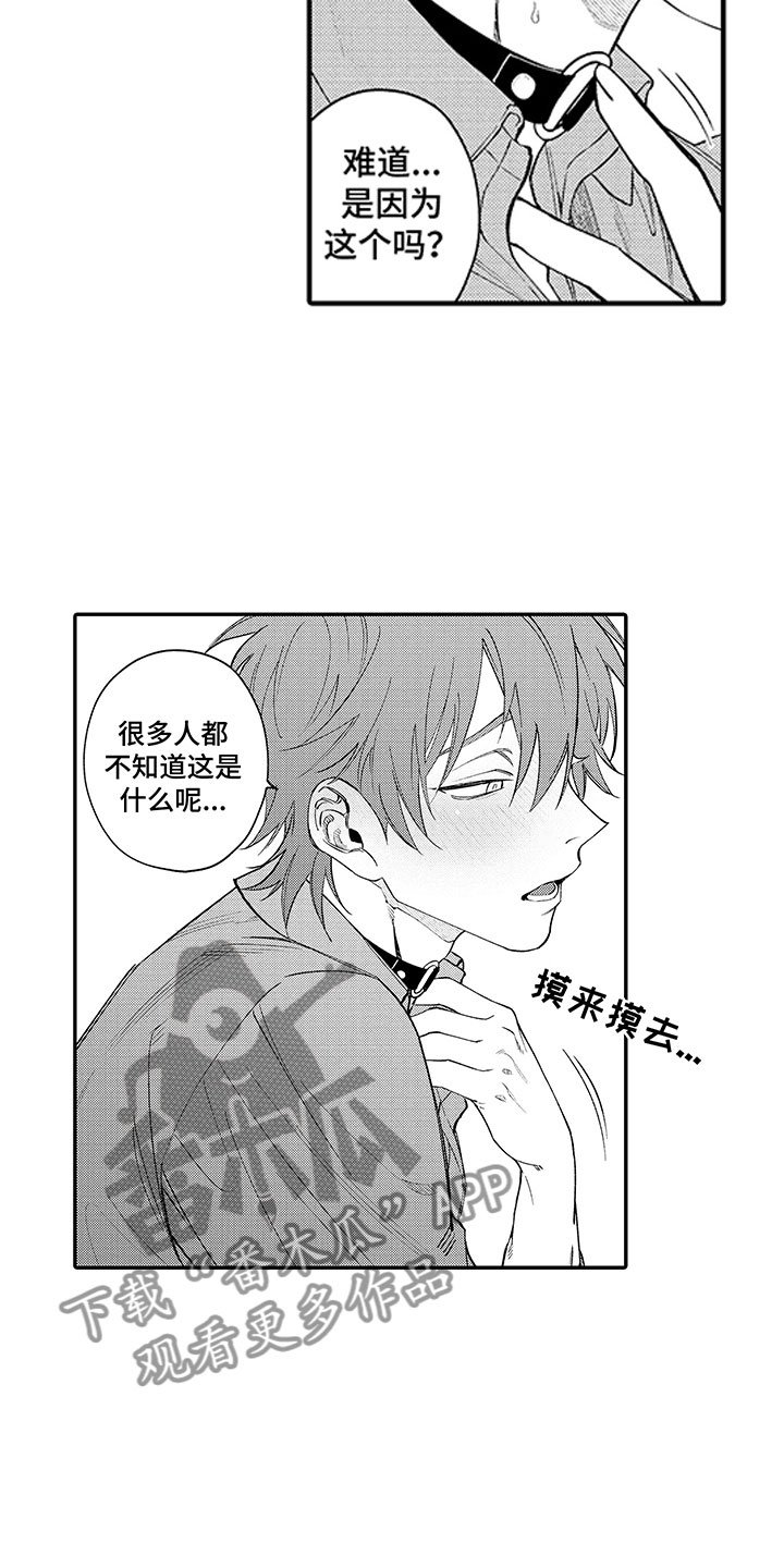 第19章：男客人