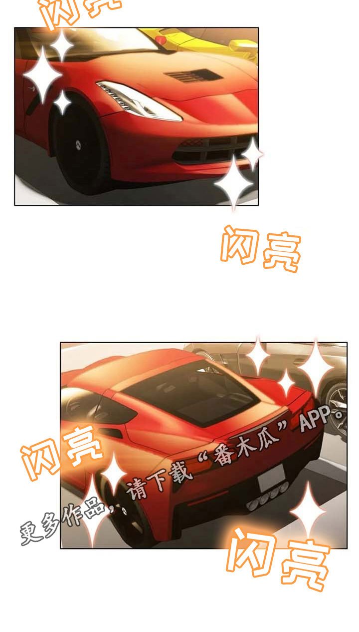 第19章：看车