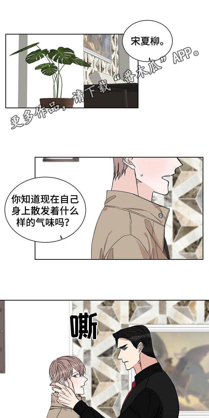 第21章：信息素
