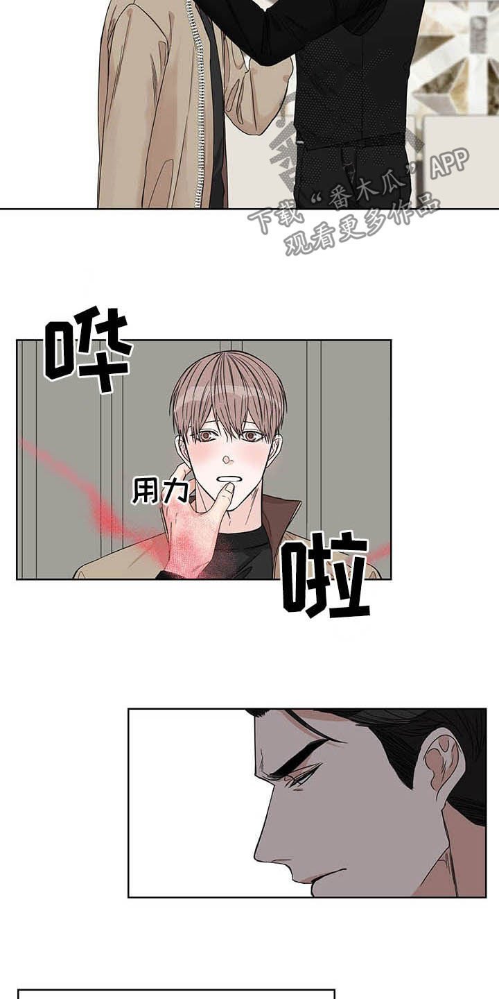 第21章：信息素