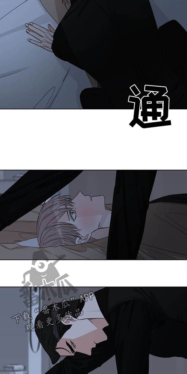 第21章：信息素