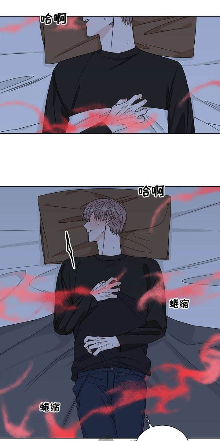 第21章：信息素