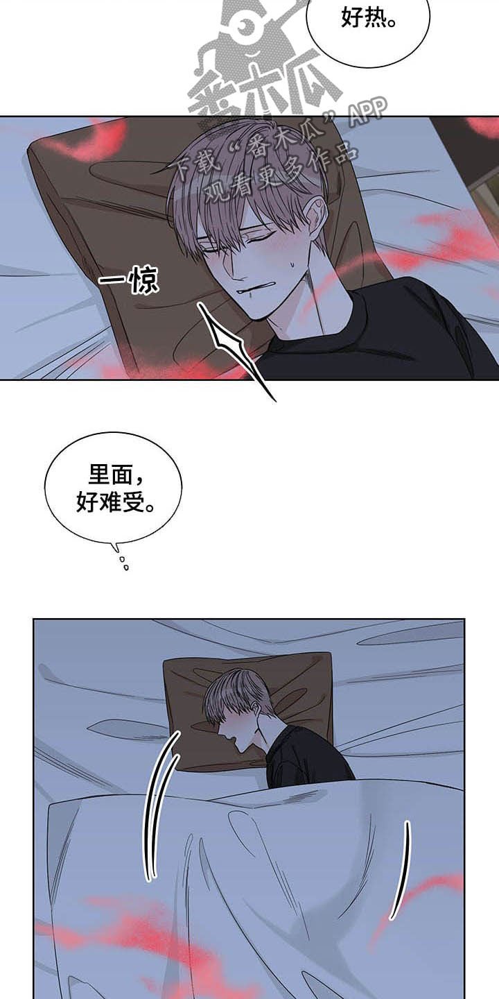第21章：信息素