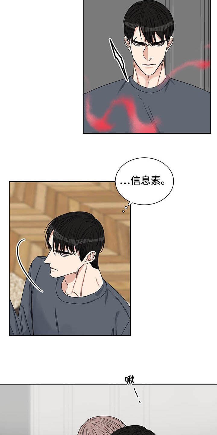 第21章：信息素