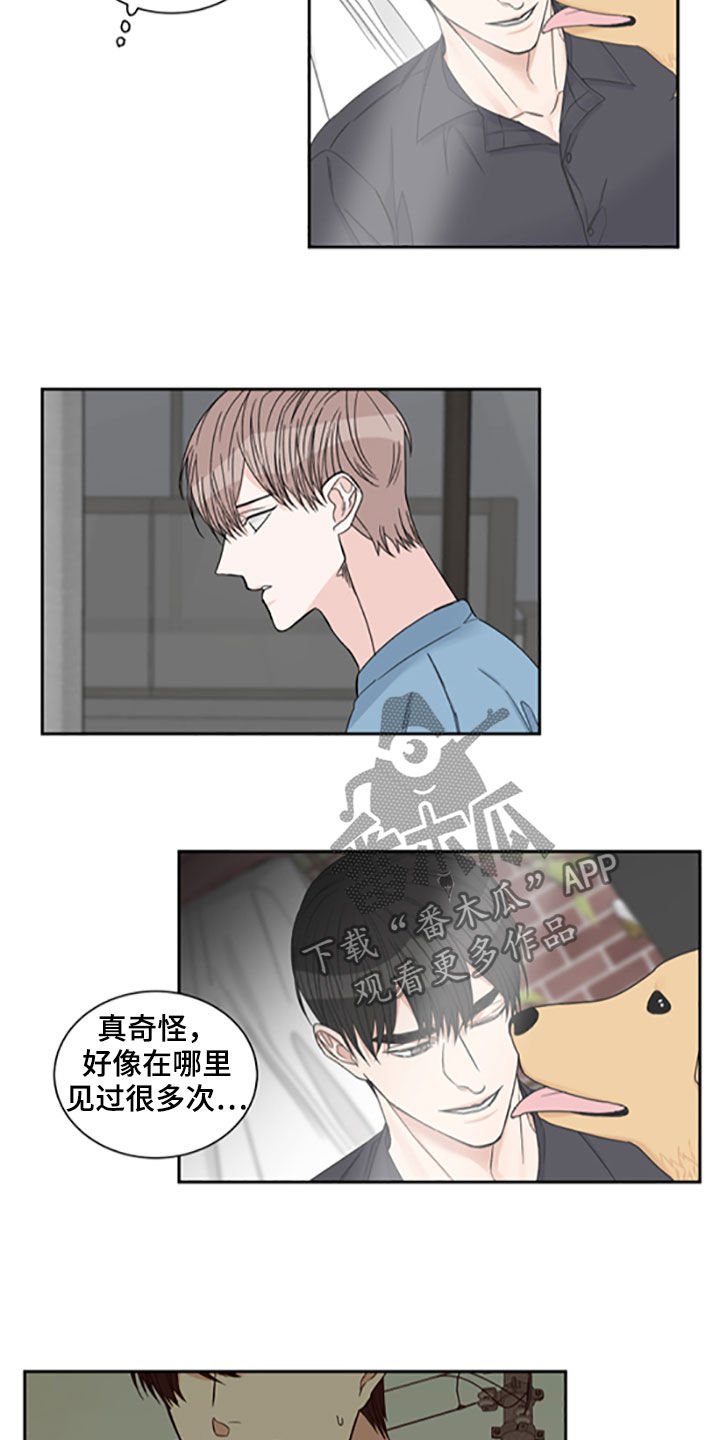 第35章：照片