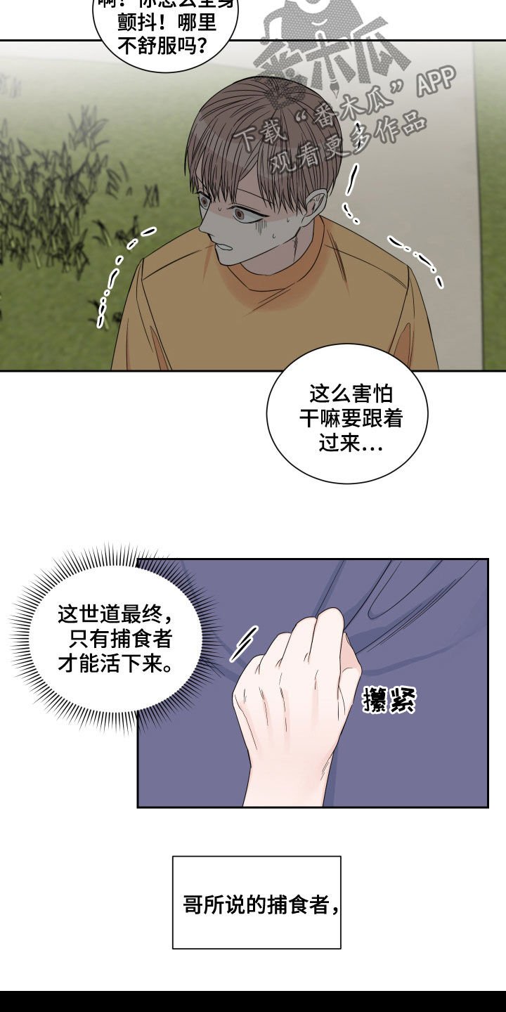 第41章：捕食者