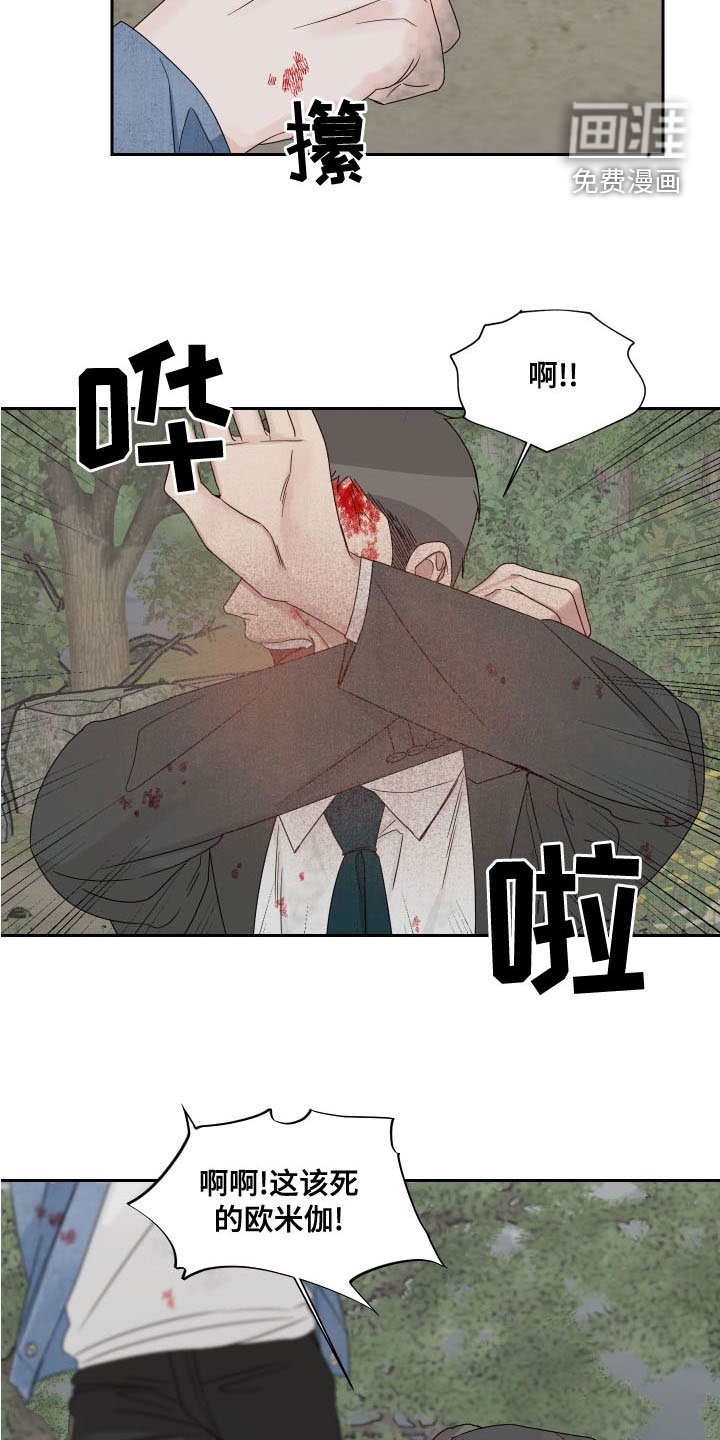 第61章：【第二季】昏迷