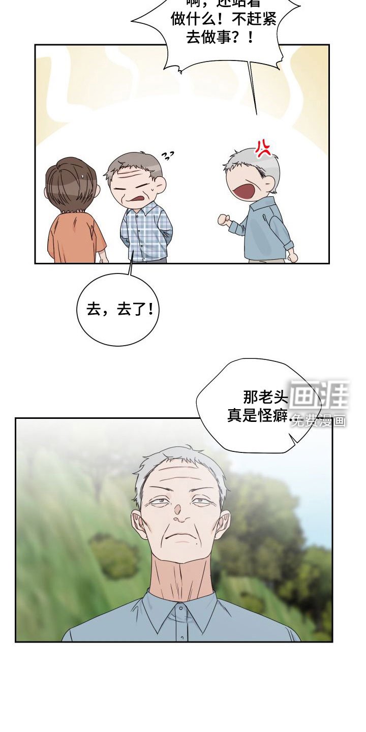 第80章：【第二季】议论