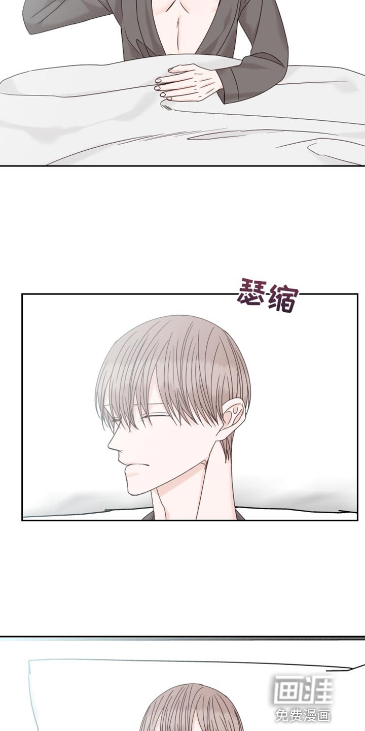 第94章：【番外】散步