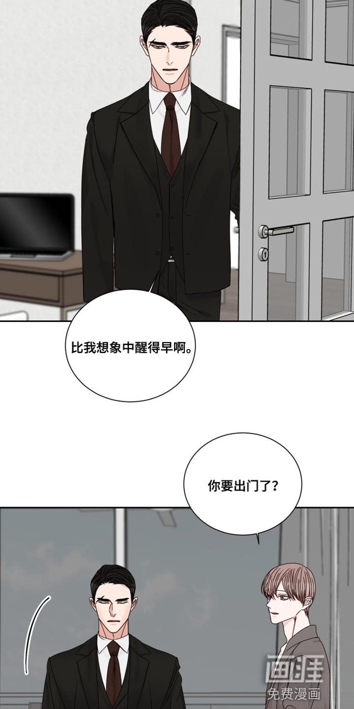 第94章：【番外】散步