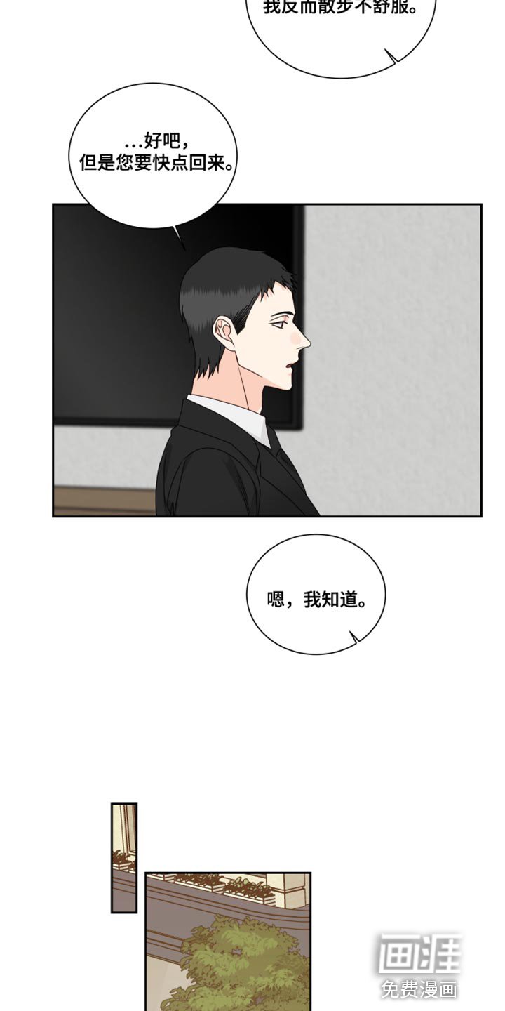 第94章：【番外】散步
