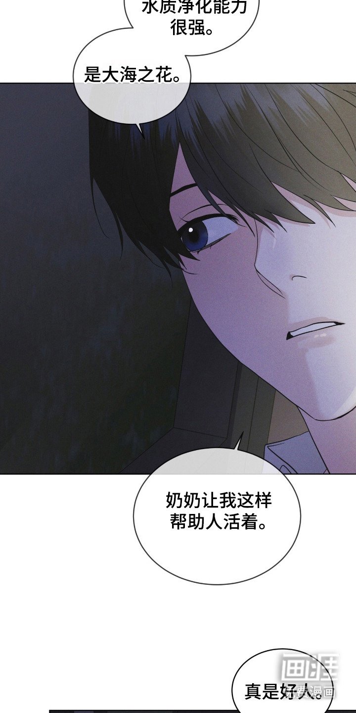 第117章：【第二季】大海之花