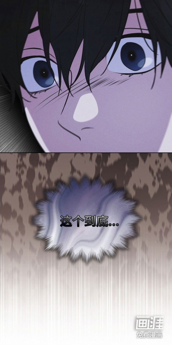 第160章：【第三季】照片秘密