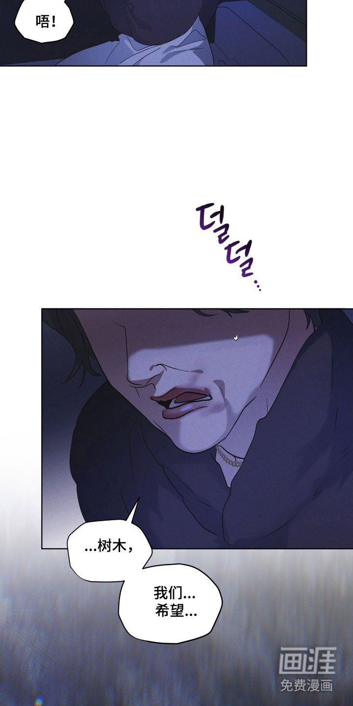 第169章：【第三季】新的苹果