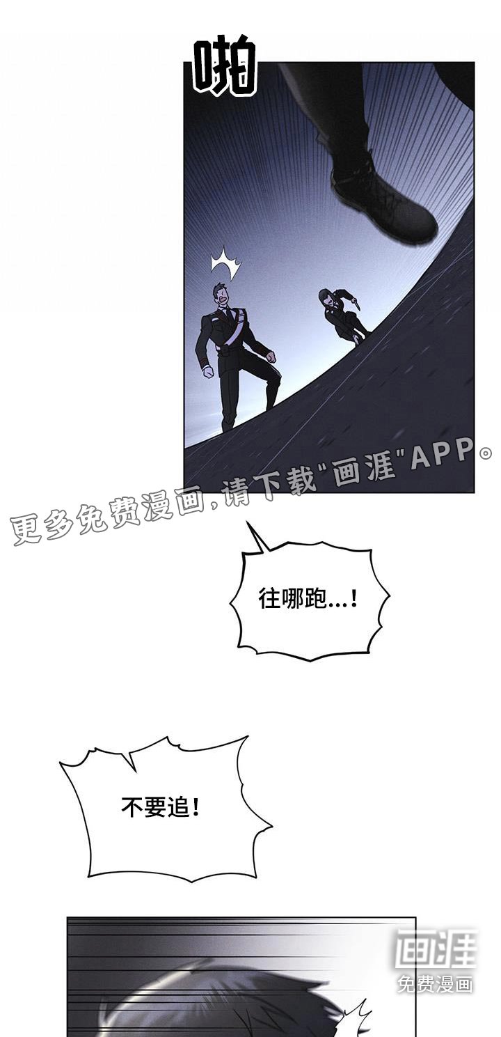 第54章：你们先回去