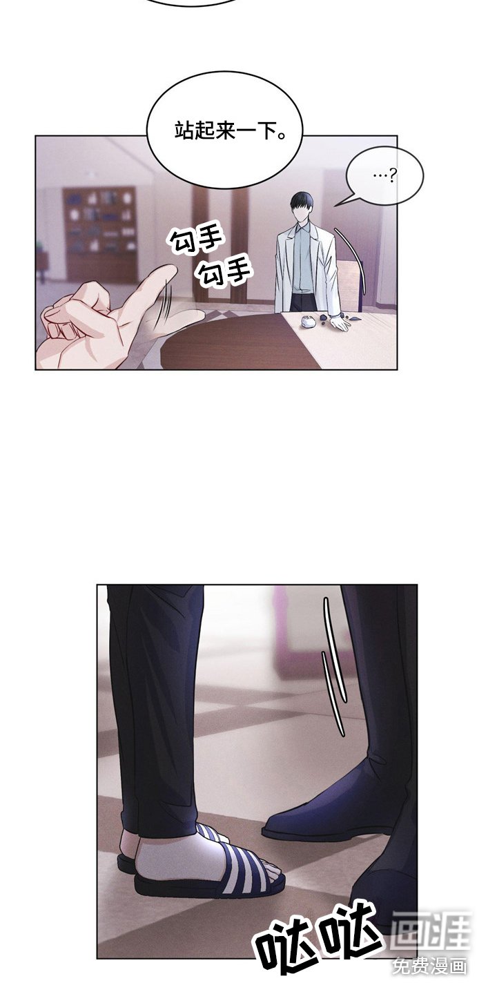 第6章：物理麻醉