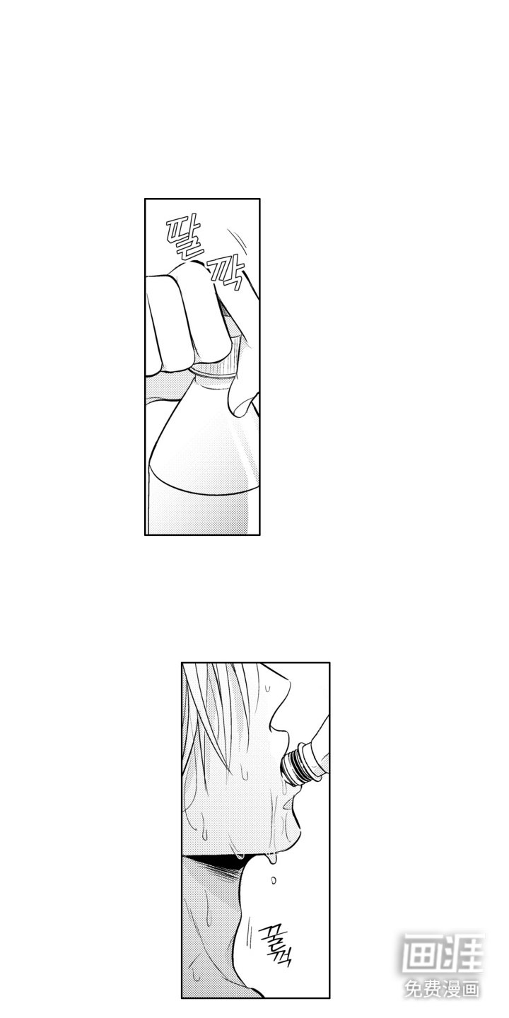 第14章：开关