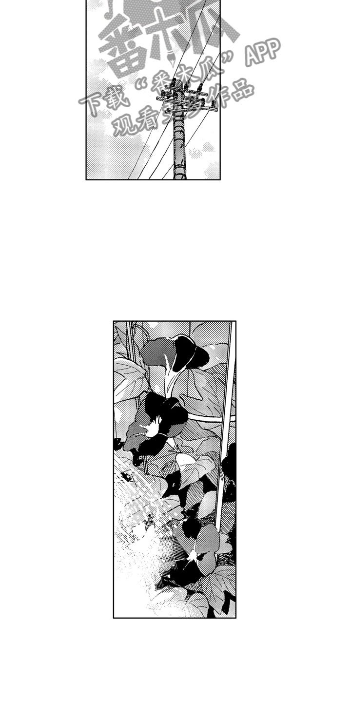 第11章：到我身边