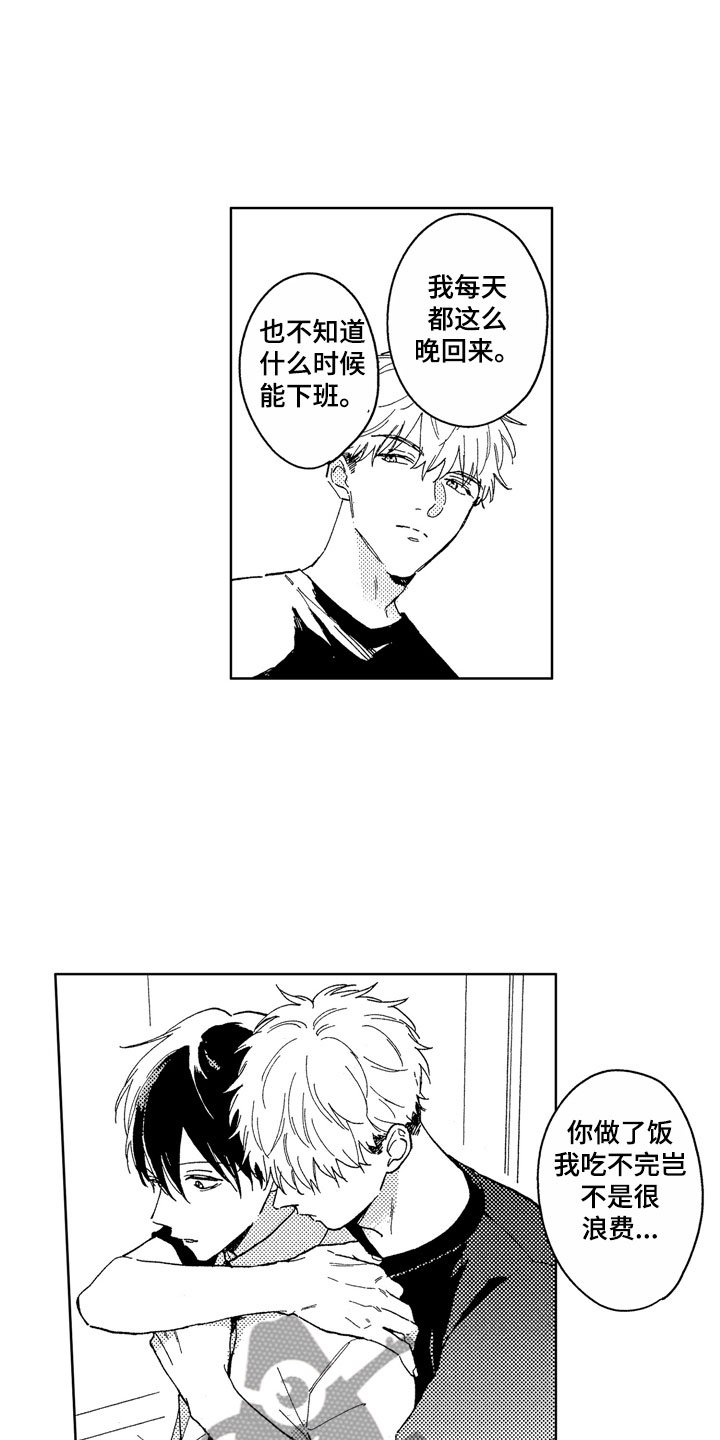 第17章：如他所说