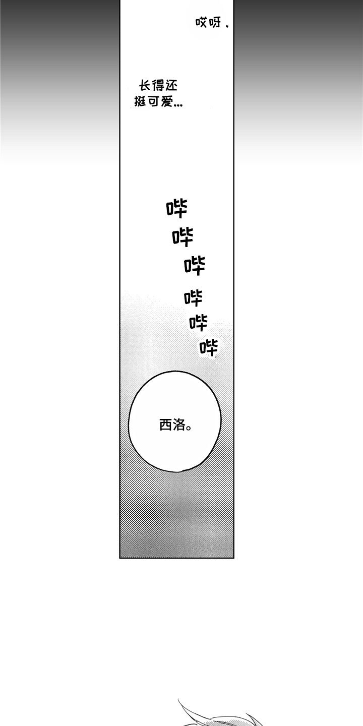 第6章：爱心便当
