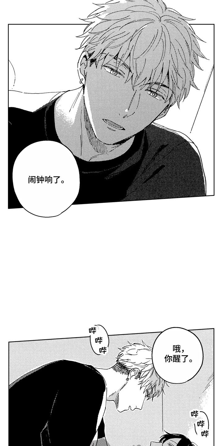 第6章：爱心便当