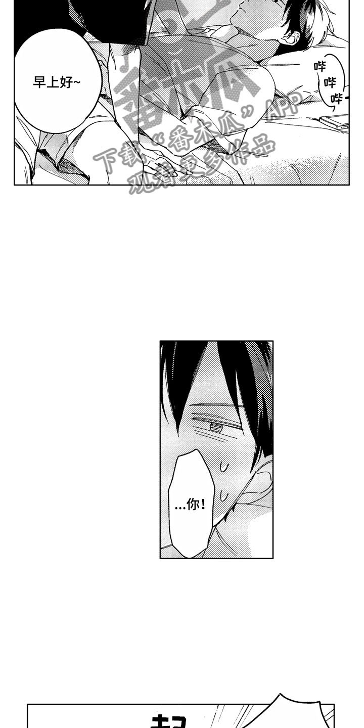 第6章：爱心便当