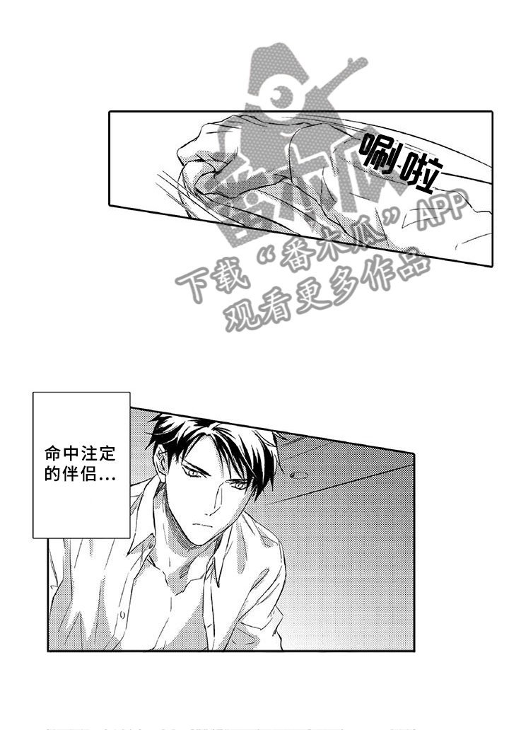 第14章：命定