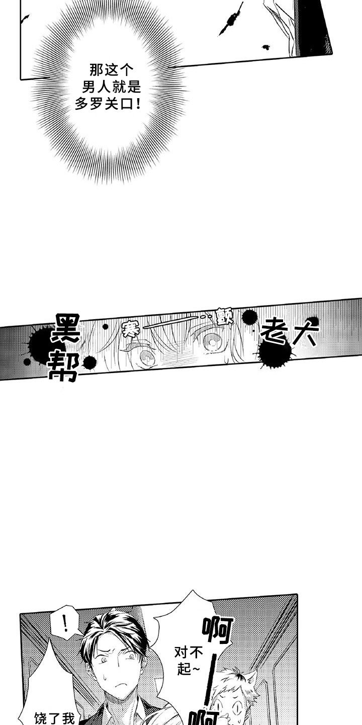 第3章：新手