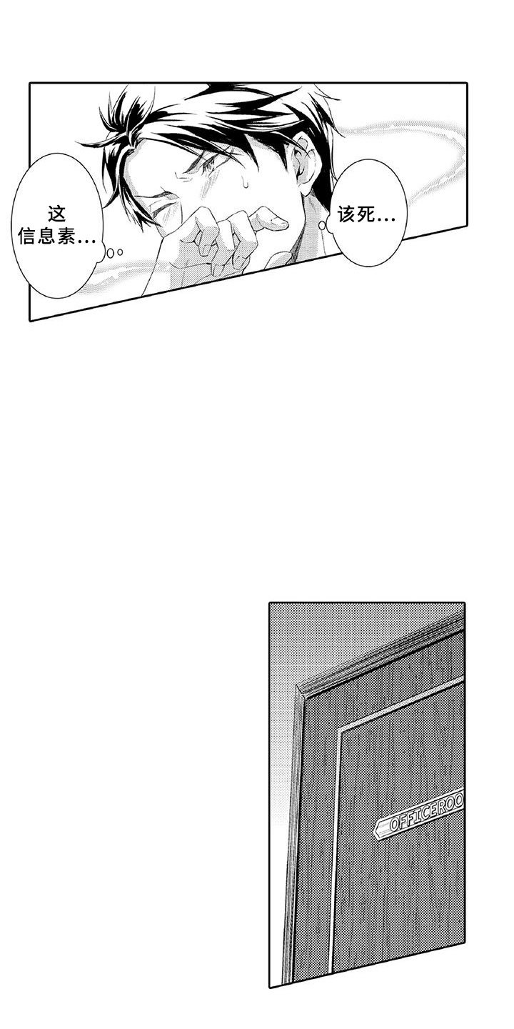 第3章：新手
