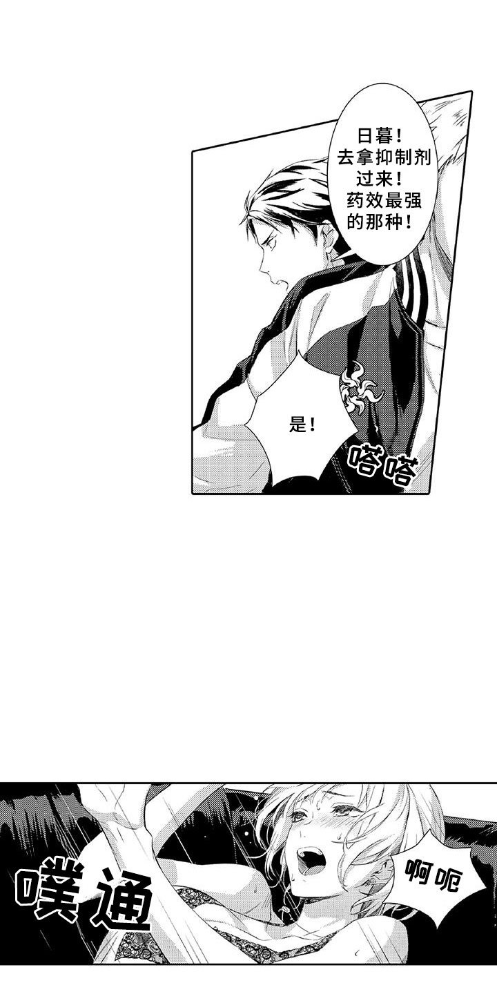 第3章：新手